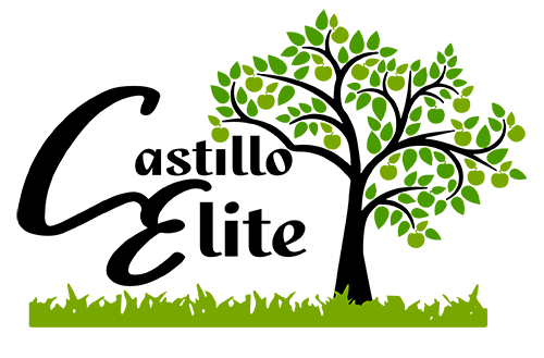 Castillo Elite Landscaping