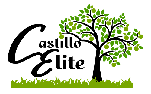 Castillo Elite Landscaping